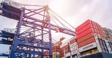 Funding the Future: Investing in Asia’s Booming Renewable Energy Sector