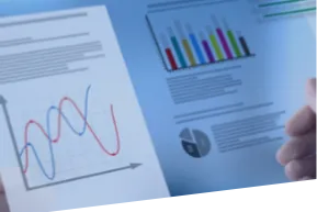 Internal Audit Services