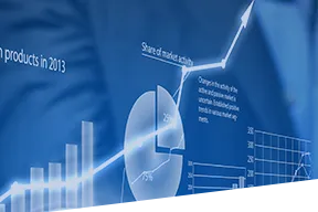 Compliance Audit Services